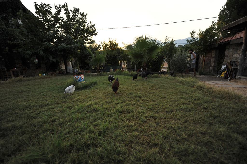 Olympos Koyevi Countryhouse ภายนอก รูปภาพ