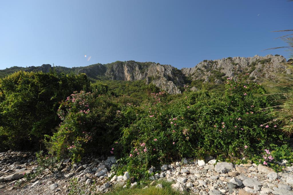 Olympos Koyevi Countryhouse ภายนอก รูปภาพ
