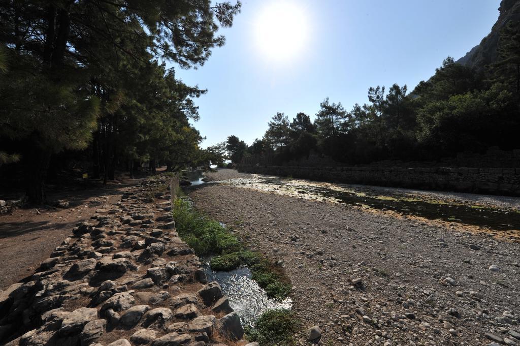 Olympos Koyevi Countryhouse ภายนอก รูปภาพ