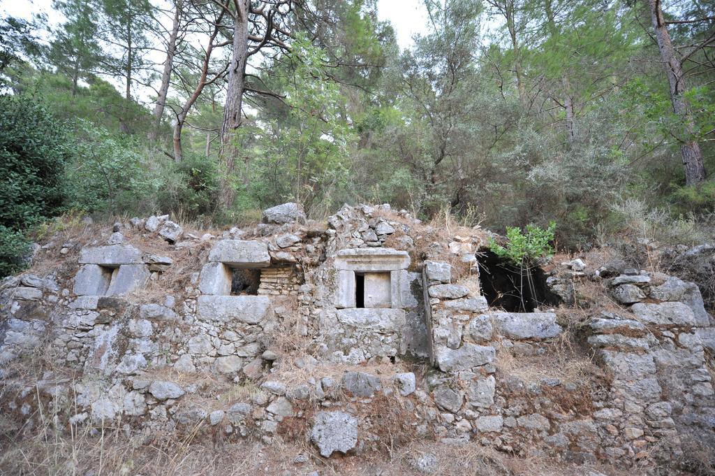 Olympos Koyevi Countryhouse ภายนอก รูปภาพ