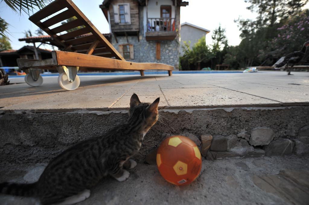 Olympos Koyevi Countryhouse ภายนอก รูปภาพ