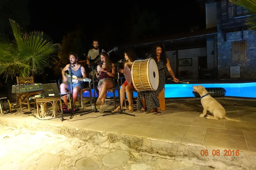 Olympos Koyevi Countryhouse ภายนอก รูปภาพ